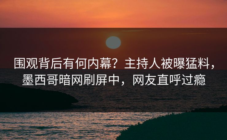 围观背后有何内幕？主持人被曝猛料，墨西哥暗网刷屏中，网友直呼过瘾