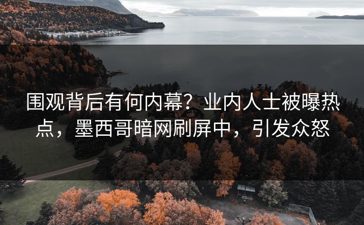围观背后有何内幕？业内人士被曝热点，墨西哥暗网刷屏中，引发众怒